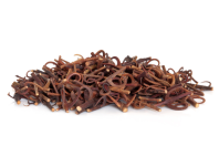Kaķa nags - Cat's Claw - Uncaria tomentosa